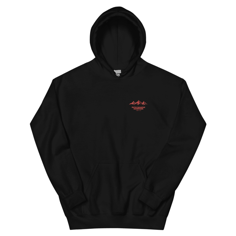 Evojensis Vintage "Faith" Distressed Hoodie
